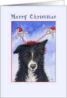 Merry Christmas, border collie dog with Christmas head boppers card