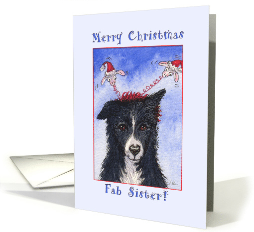 Merry Christmas, fab sister, border collie dog Christmas card