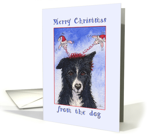 Merry Christmas from the dog, border collie dog Christmas card