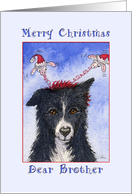Merry Christmas Brother, border collie dog Christmas card