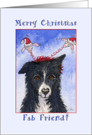 Merry Christmas friend, border collie dog Christmas card