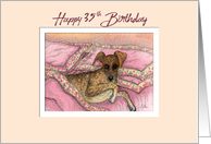 Happy 35th Birthday, greyhound dog on the bed card