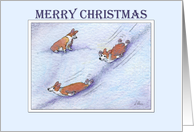 Merry Christmas, Corgi dogs snow sliding card