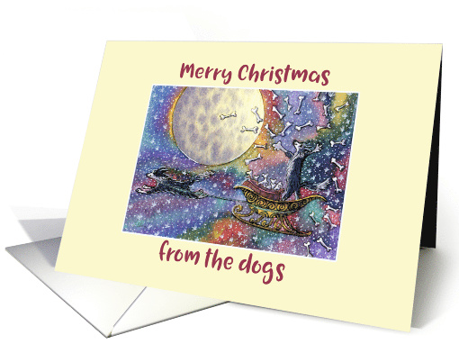 Merry Christmas from the dogs, border collie dogs in santa sleigh card
