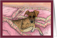 Your bed. Are you sure? Greyhound in the bed blank, any occasion card
