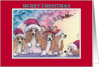 Merry Christmas, corgi dogs in santa hats card