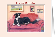 Happy Birthday, border collie dog on the sofa card