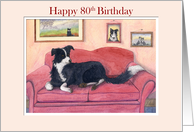 Happy 80th Birthday, border collie dog on the sofa card