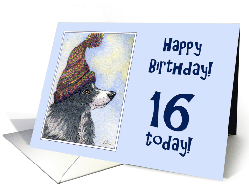 Happy Birthday, 16 today, border collie dog in bobble hat card