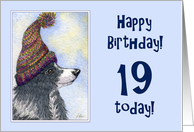 Happy Birthday, 19 today, border collie dog in bobble hat card