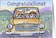 Driving test congratulations, corgi dog driving his hoomun card