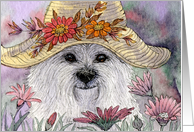 Westie dog among flowers, blank card