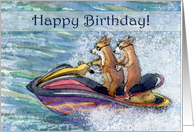 Happy Birthday, corgi dogs on a speedboat, card