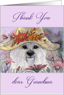 Thank you dear grandma, westie dog among flowers card