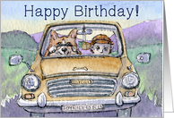 Happy Birthday, corgi dog driving his hoomun card