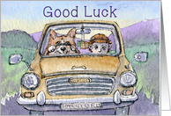 Good luck, corgi dog driving his hoomun card