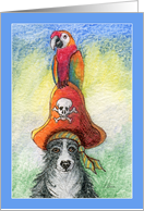 Pirate Day! Border collie dog and parrot, blank, any occasion card