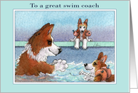 Thank you swim coach, Corgi dog swim coach card