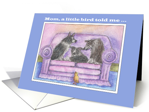 Happy Easter Mom, border collie dogs & Easter chick card (1516018)