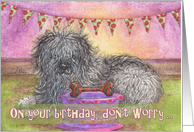 Happy Birthday, OES, Old English Sheepdog, grey hairs, card