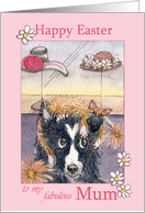 Happy Easter Mum, border collie dog in cat bonnet card