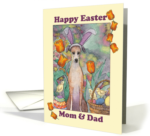 Happy Easter, Mom & Dad. Whippet dog in bunny ears card (1516504)