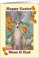 Happy Easter, Mom & Dad. Whippet dog in bunny ears card