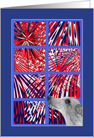 Happy 4th July, greyhound dog & fireworks card