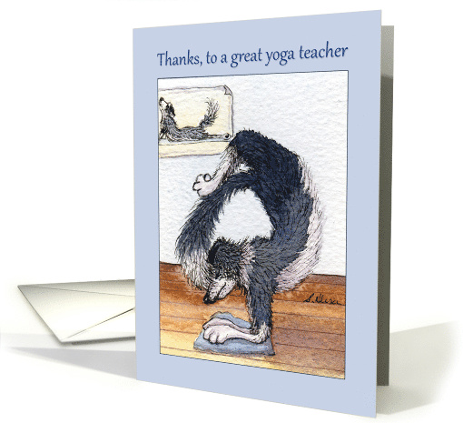 Thanks, to a great yoga teacher, border collie dog in yoga pose card
