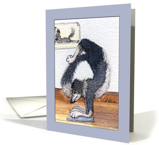 border collie dog in a yoga pose, blank, any occasion card (1518160)