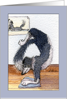 border collie dog in a yoga pose, blank, any occasion card