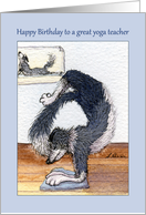 Happy Birthday,to a great yoga teacher, border collie dog in yoga pose card