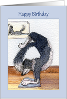 Happy Birthday, yoga border collie dog in yoga pose card