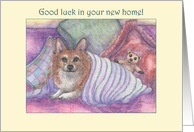 Good luck in your new home, Welsh corgi dog & teddy bear, card