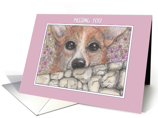 Missing you, corgi dog looking over the wall card (1520450)