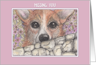 Missing you, corgi dog looking over the wall card
