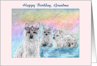 Happy Birthday Grandma, queen west highland terrier dog, card