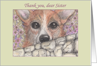 Thank you, dear Sister corgi dog looking over the wall card