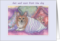 Get well soon from the dog, welsh corgi dog, cosy, teddy bear, card