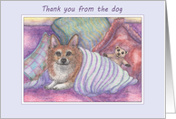 Thank you from the dog, welsh corgi dog, cosy, teddy bear, card