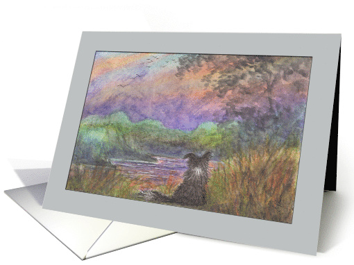 Border Collie dog, peaceful evening scene, blank, card (1523632)
