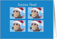 Joyeux Noel, greyhound dog Christmas card
