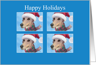 Happy Holidays, greyhound dog festive card