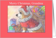 Merry Christmas, Grandma, Corgi dog dressed as Santa card