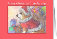 Merry Christmas from the dog, Corgi dog dressed as Santa card