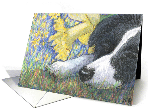 Daffodil dreaming card (154145)
