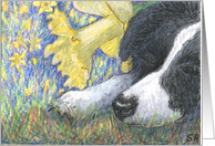 Daffodil dreaming card