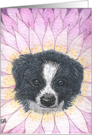 Dog Daisy card