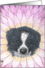 Dog Daisy card