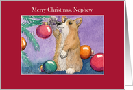 Merry Christmas, Nephew, Corgi Dog & Christmas Tree card